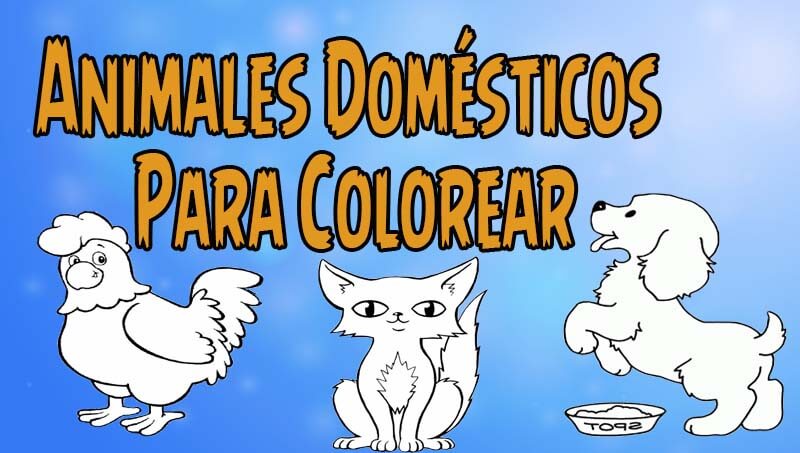 Animales domésticos Para Colorear 1 Animales domésticos Para Colorear