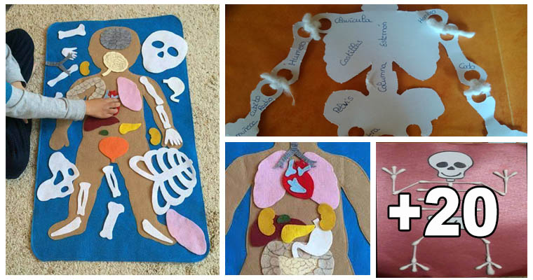 Ideas para enseñar el cuerpo humano a los pequeños 1