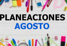 Planeaciones Agosto Ciclo Escolar 2019-2020 – Todos los grados